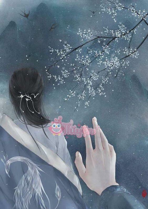 Linh Hồn Phiêu Đãng