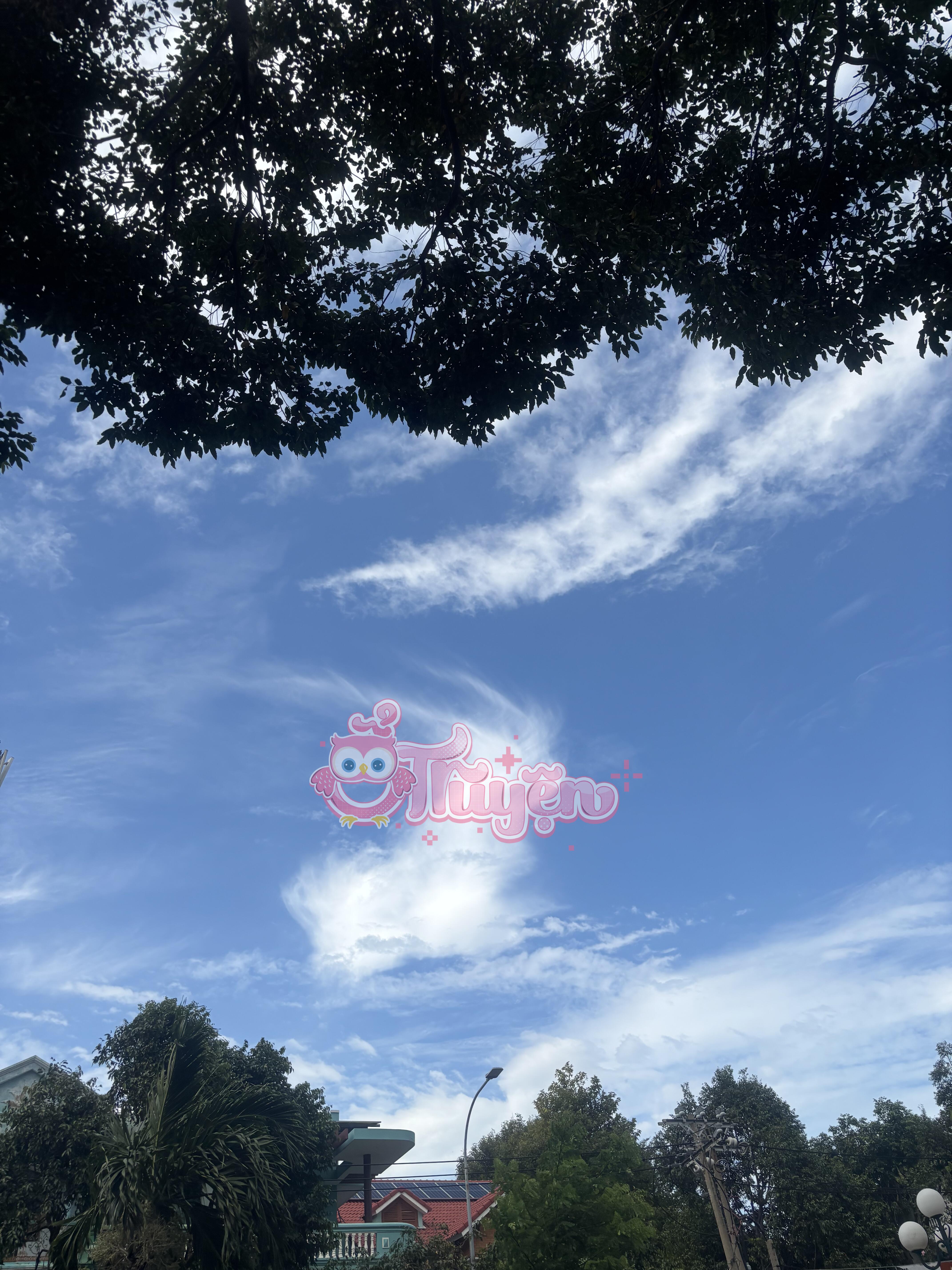 VƯƠN TỚI BẦU TRỜI