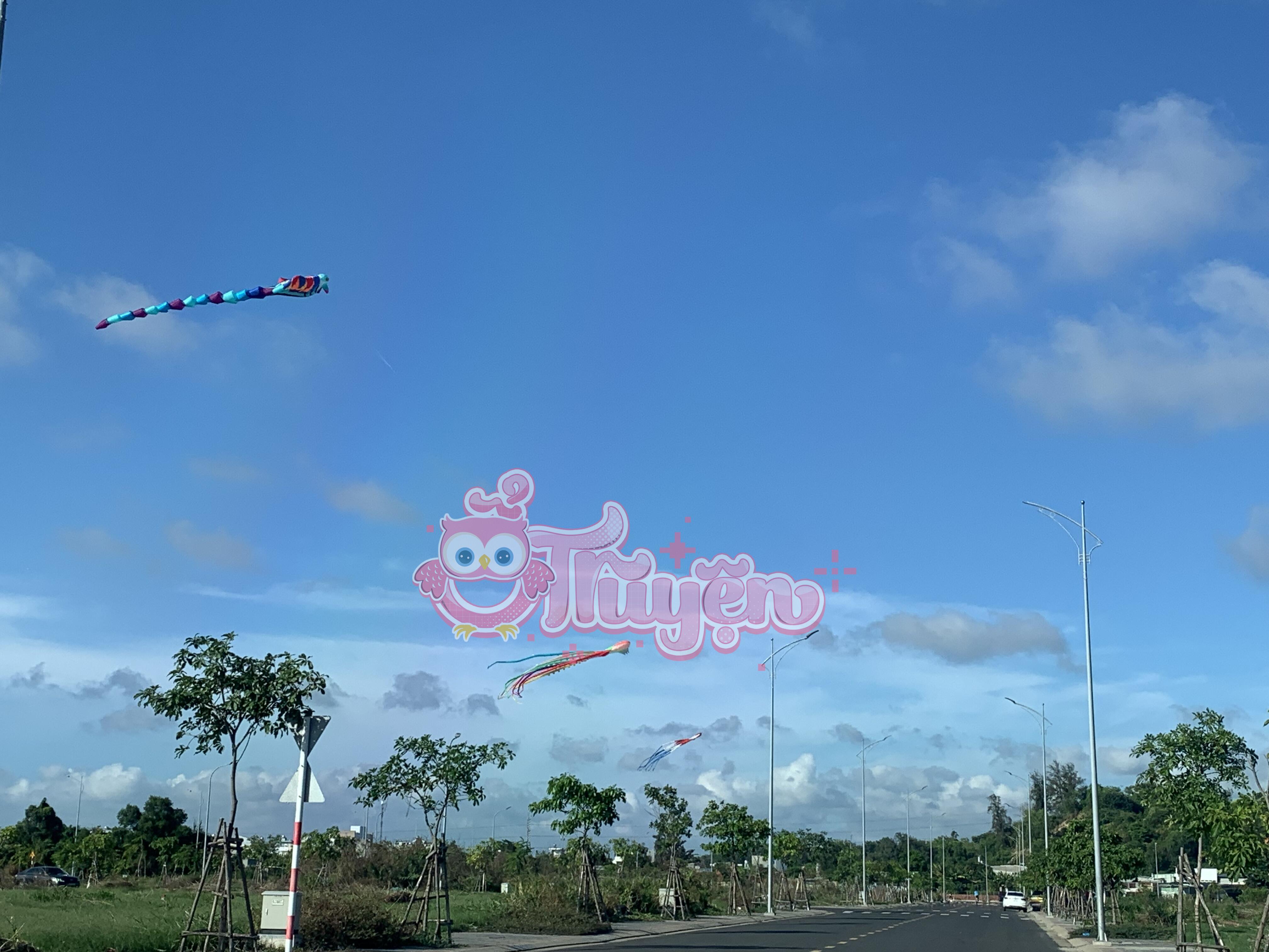 VƯƠN TỚI BẦU TRỜI