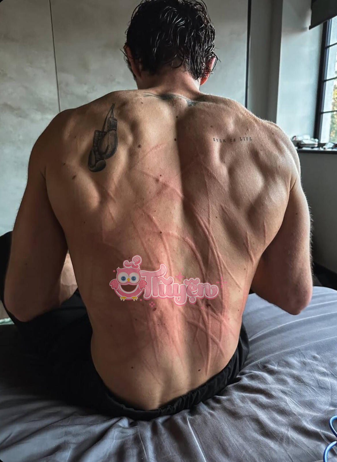 Ly Hôn Không Hầu Hạ, Cô Tần Quay Lại Đỉnh Điểm - CỐ HÀN ĐÌNH & TẦN YÊN