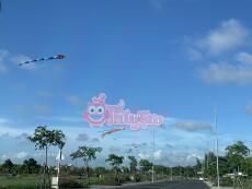 VƯƠN TỚI BẦU TRỜI
