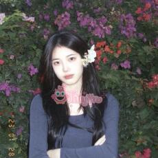 Giấy Chứng Nhận Màu Đỏ