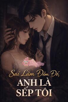 Sai Lầm Đêm Đó, Anh Là Sếp Tôi