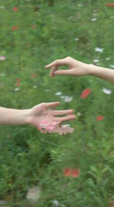 Khi Sự Tử Tế Đi Quá Giới Hạn